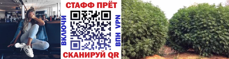 АМФЕТАМИН Кашин