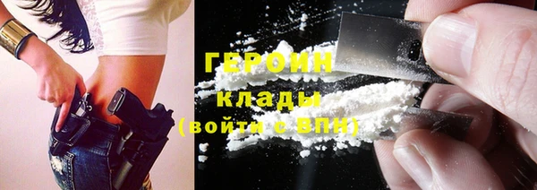 гашик Алексин