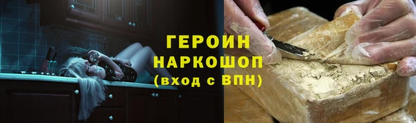 гашик Алексин