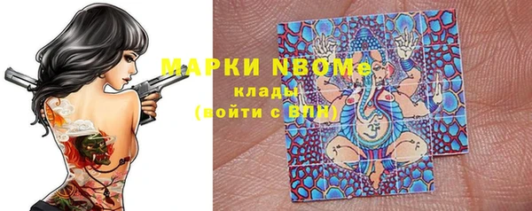 гашик Алексин