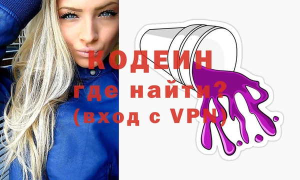 гашик Алексин