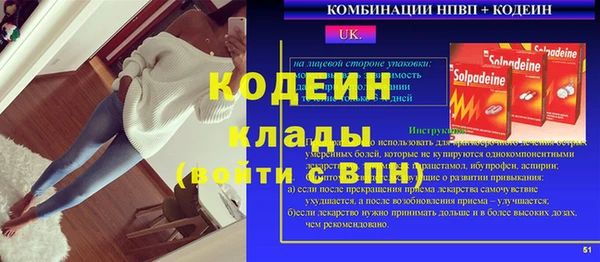 гашик Алексин