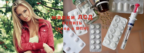 гашик Алексин