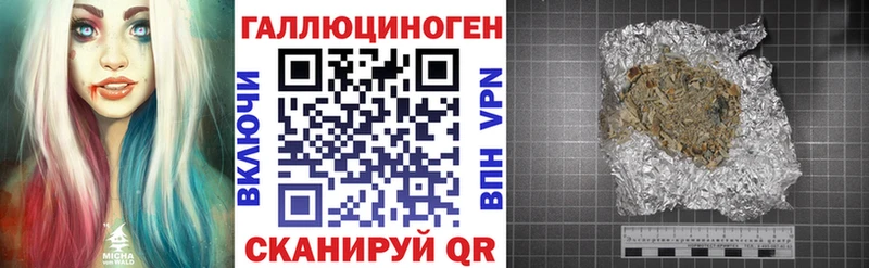 где купить наркоту  Кашин  Псилоцибиновые грибы прущие грибы 